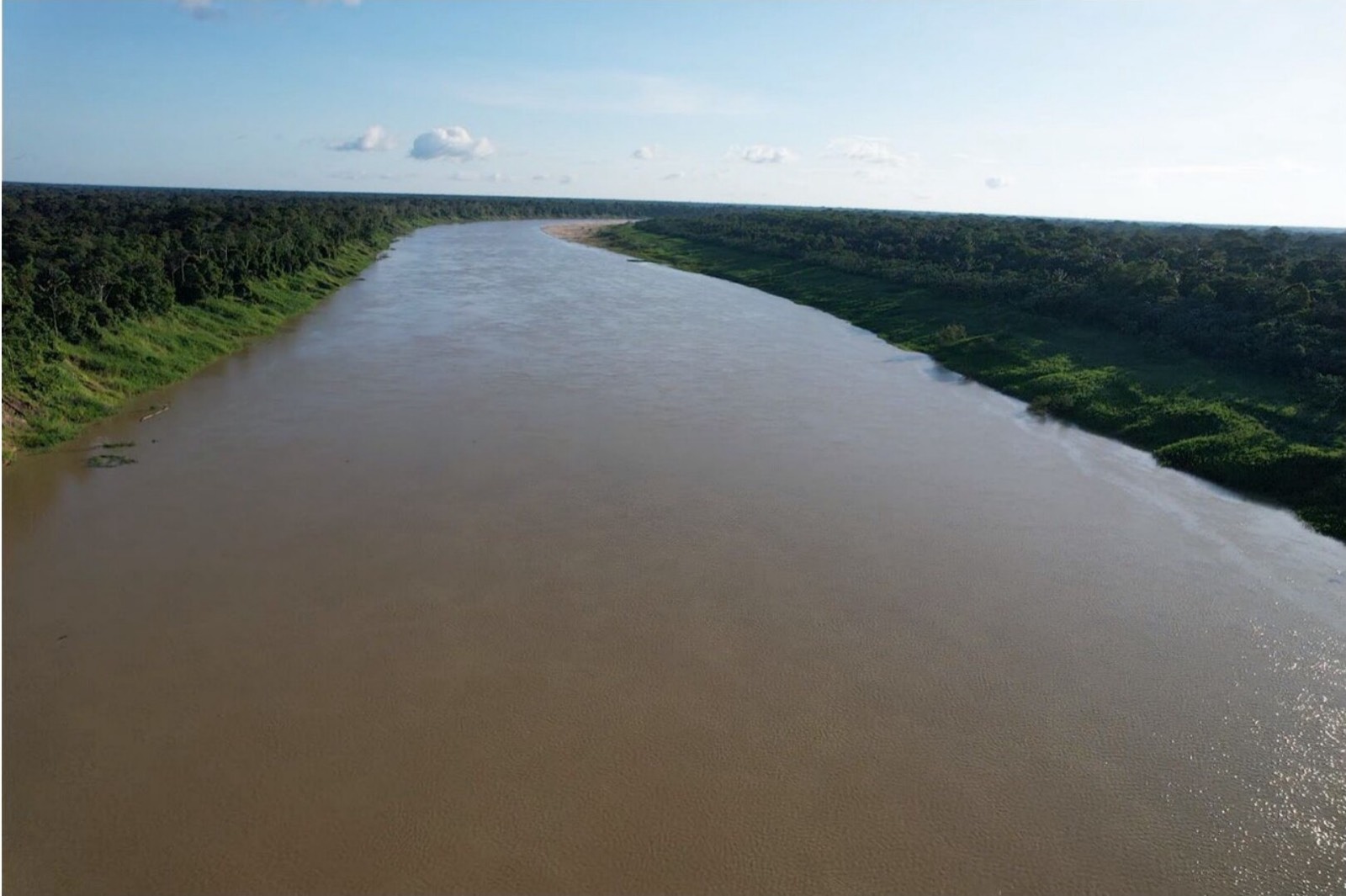 The Juruá river seen from the air, forest on both banks · HopeAmazon field expedition