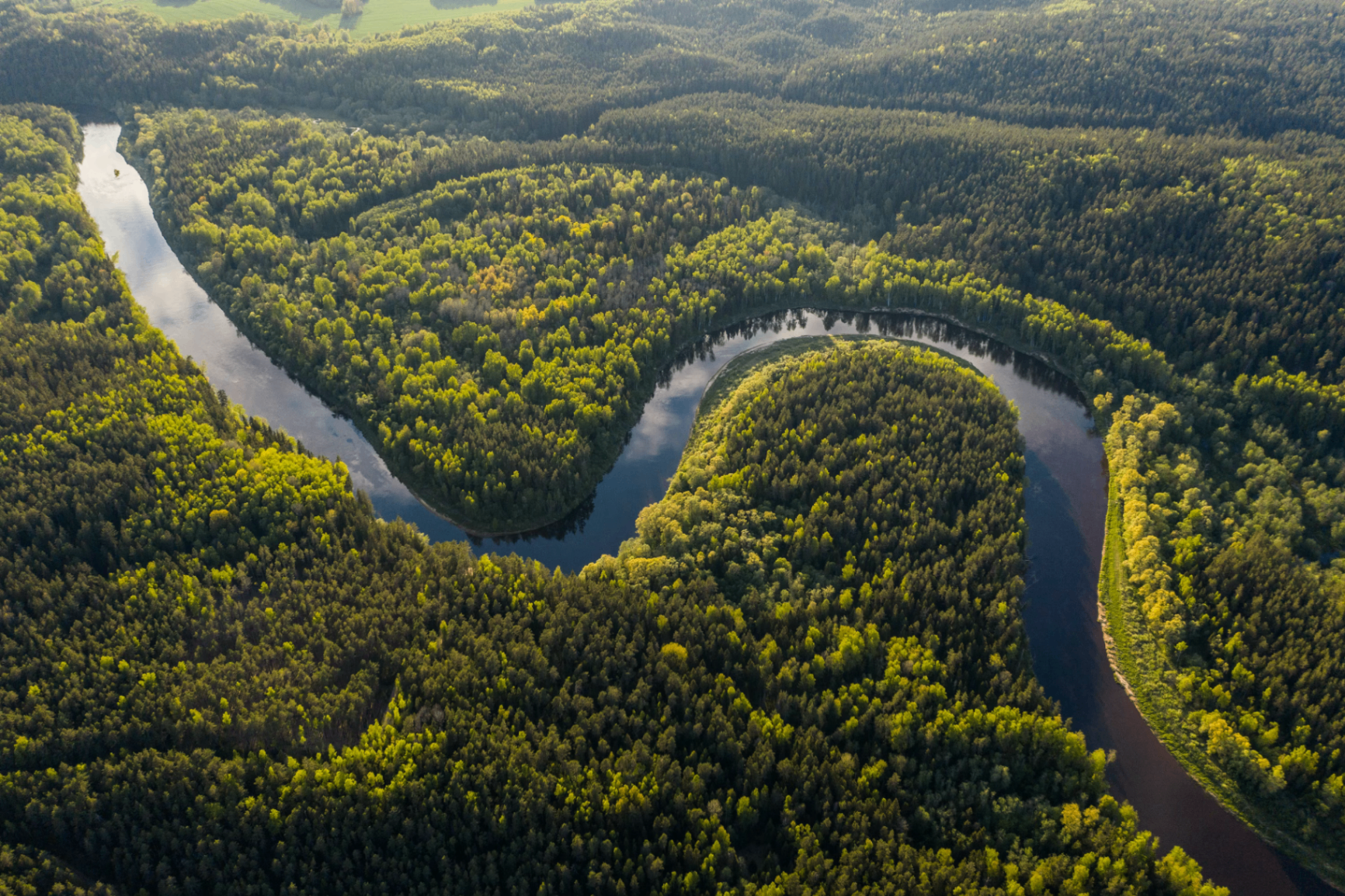 Vista aérea da Amazônia · 60.000+ hectares sob contrato PSA